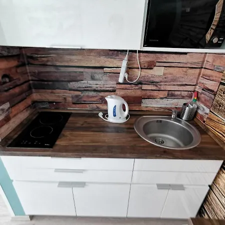 Mustang Klinovec Loučná pod Klínovcem