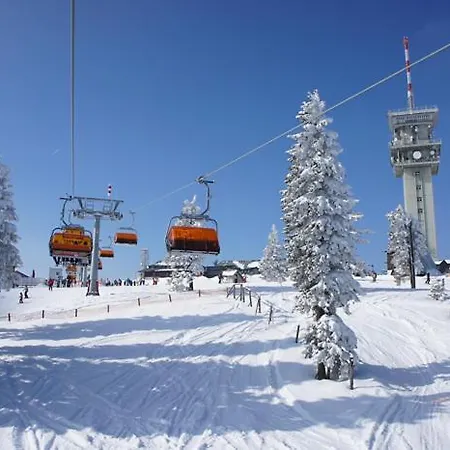 Mustang Klinovec Διαμέρισμα Loučná pod Klínovcem