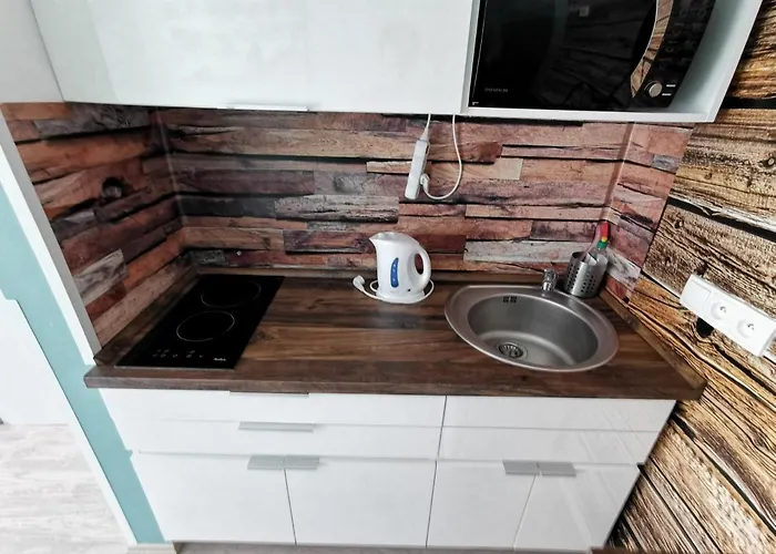 Mustang Klinovec Лоучна-под-Клиновцем